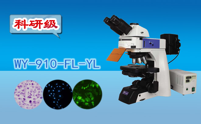 1670904030754866.png 醫(yī)用顯微鏡.png